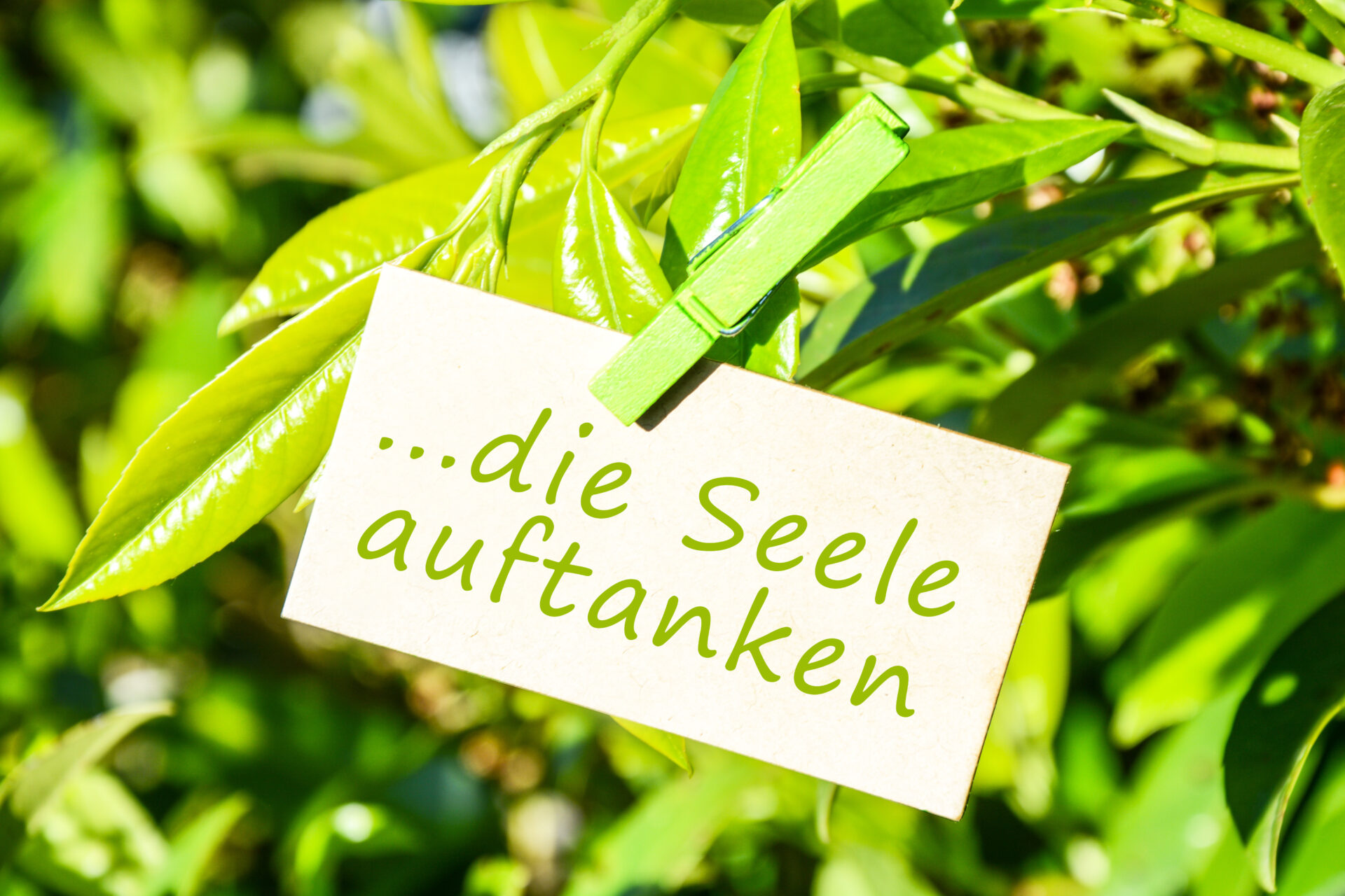 Zeit für Balance